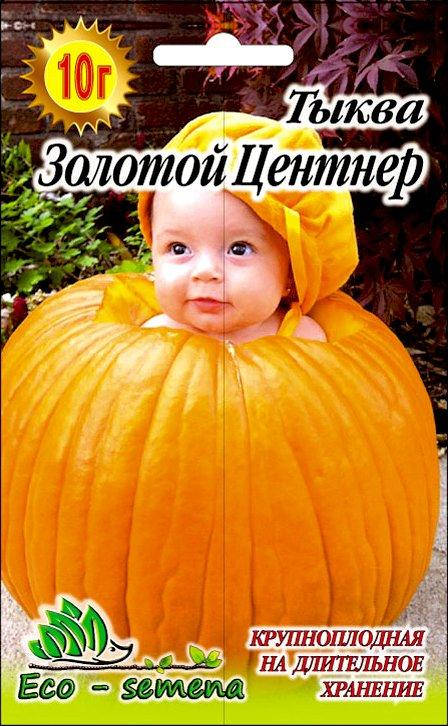 

Семена Тыква Золотой Центнер, кормовая, 10 г