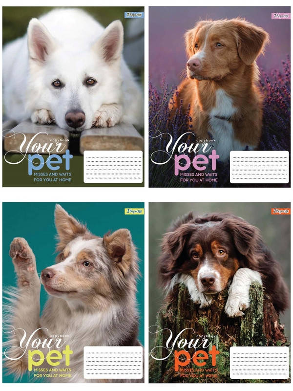 

Тетрадь в линию 24 л 1 Вересня 1В Dog loyality А5 микс 4 дизайна (765447)