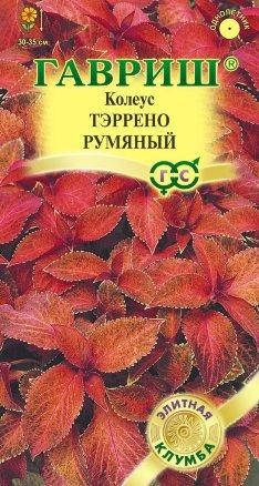 

Семена Колеус блюме Тэррено Румяный 5 семян Гавриш