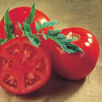 

Семена томата Санрайз F1, 100 шт., низкорослого, ТМ "ЛедаАгро"