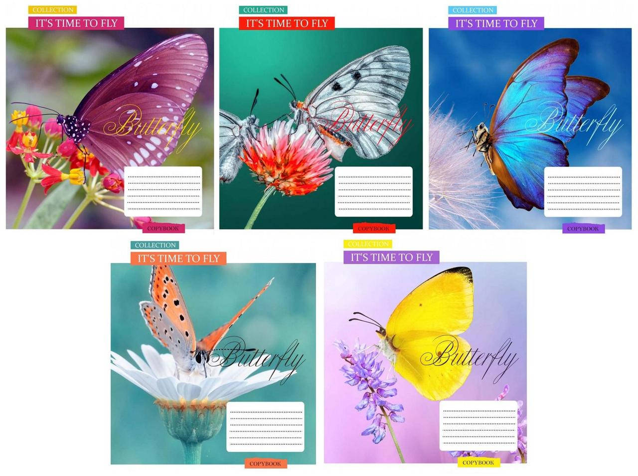 

Тетрадь 12 листов КОСАЯ линия "1 Вересня"/ Time to fly