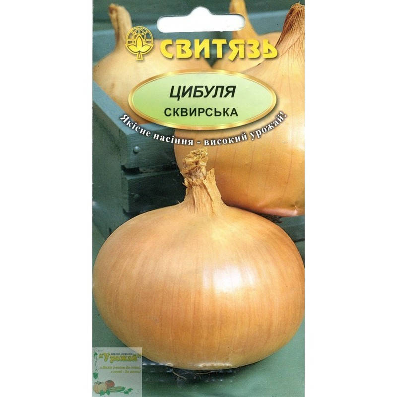 

Семена лук репчатый белый Сквирский, 2 г
