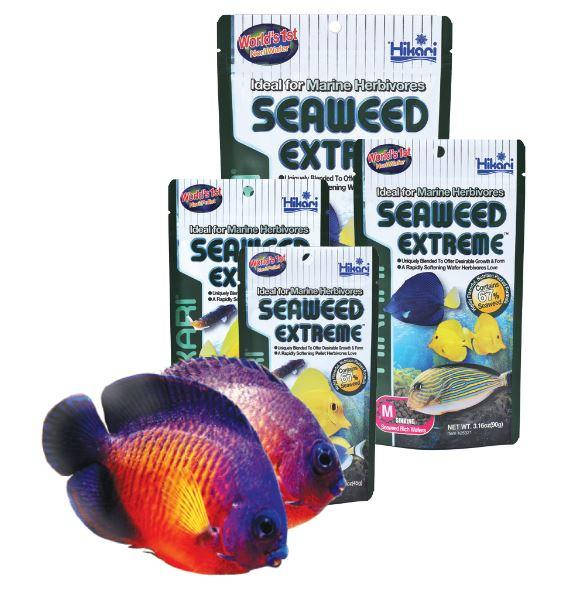 

Корм для морских травоядных рыб Hikari Marine Seaweed Extreme