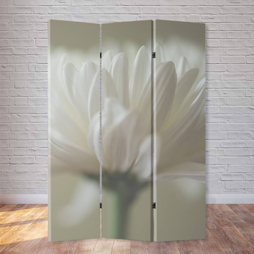 

Ширма "Белые лепестки"