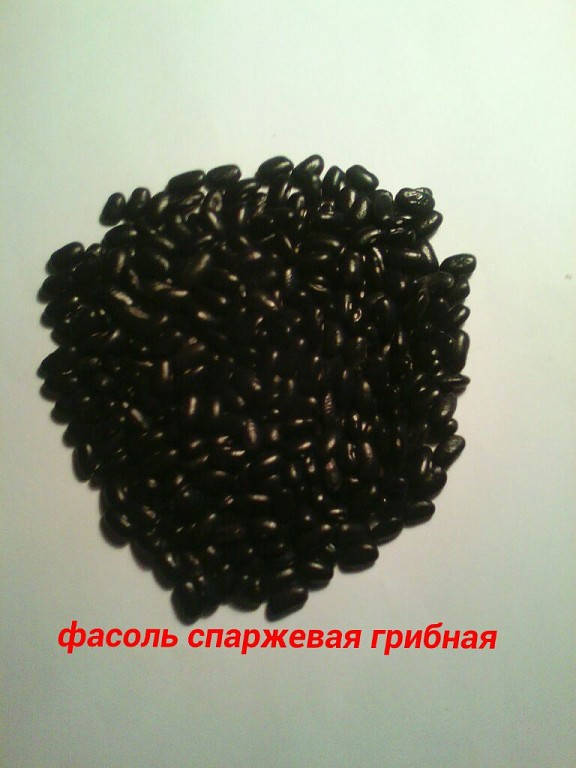 

Фасоль спаржевая грибная