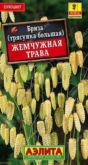 

Семена Бриза (трясунка большая) Жемчужная Трава 0,2 грамма Аэлита, Разные цвета