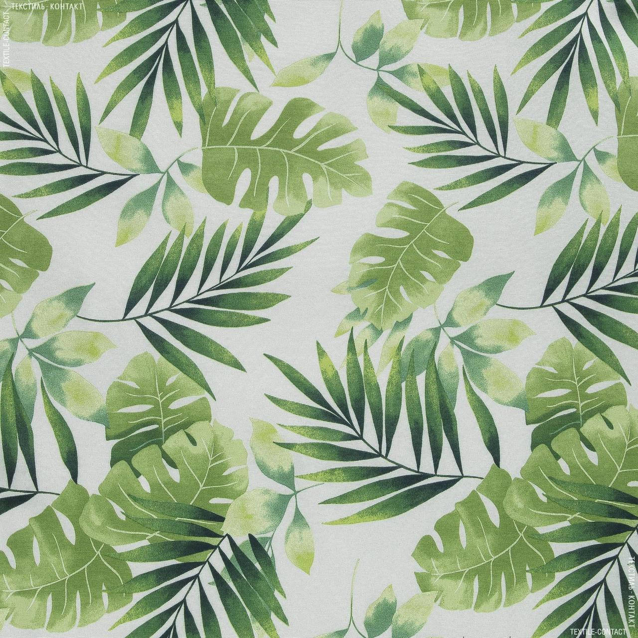 

Декоративная ткань тропикал /tropical листья попоротника