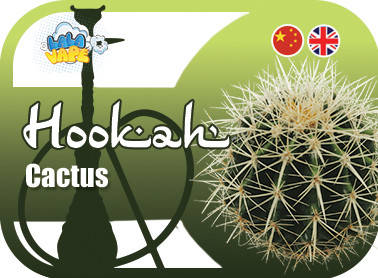 

Кальянный ароматизатор Cactus (Кактус) 30мл, Ароматизатор для кальяна