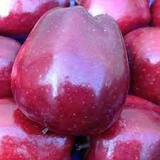 

Яблоня Джона Ред Принц