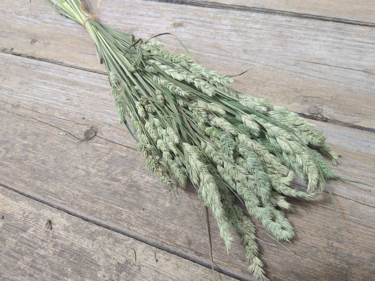 

Ежа, сухоцвет полевого злака 50 шт в пучке