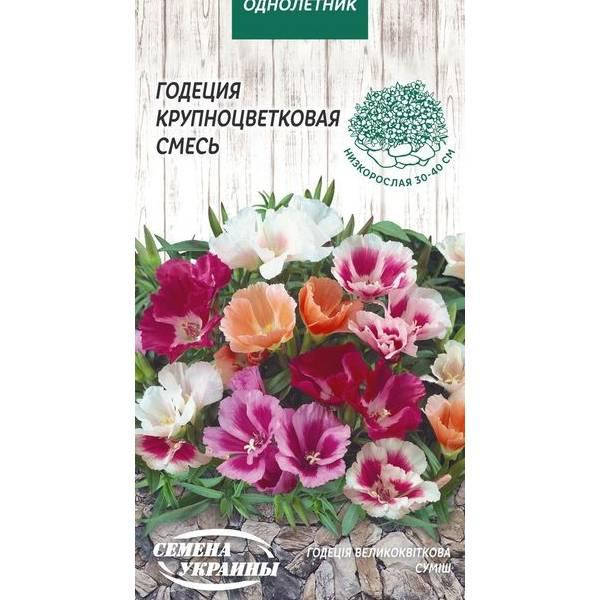 

Годеция Крупноцветковая смесь 0,2г (10пачек) ТМ СЕМЕНА УКРАИНЫ