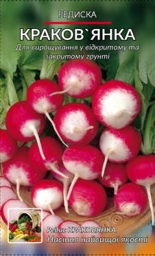 

Редис Краковянка
