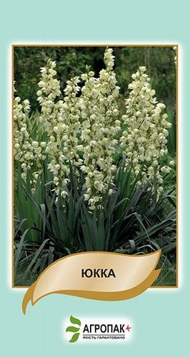 

Семена Юкка 5шт Агропак