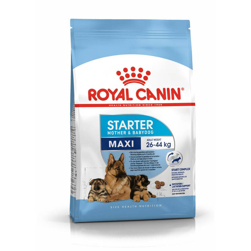 

Сухой корм для собак Royal Canin Maxi Starter 15 кг