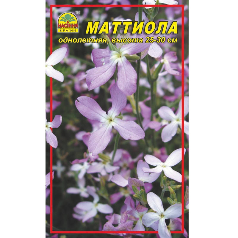 

Семена Маттиола (ночная фиалка) 0,5 г
