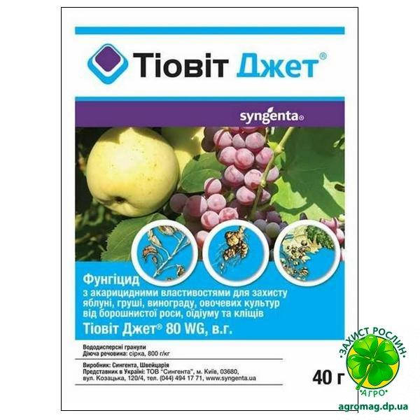 

Тиовит Джет 80 WG в.г. 40г