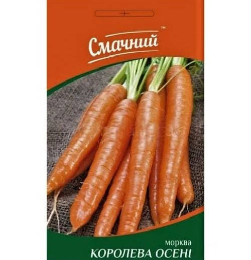 

Морква пізня Королева осені 2 гр Смачний Украина
