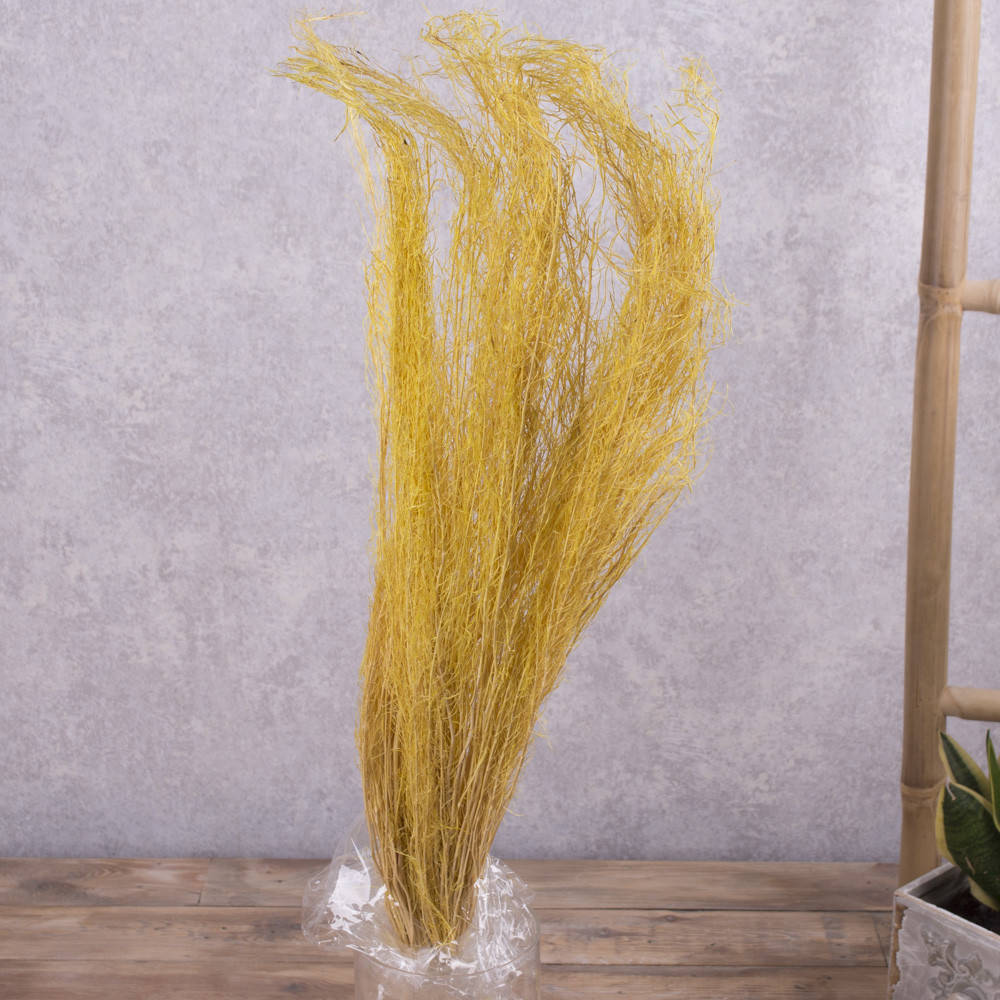 

Сухоцвет white lady желтый