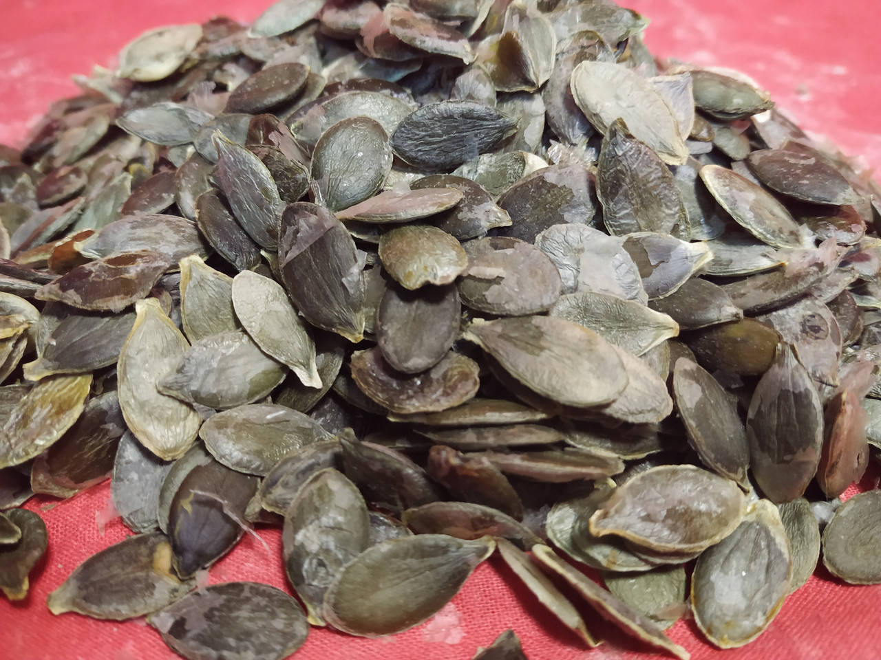 

Гарбузове насіння 0,5 кг Україна