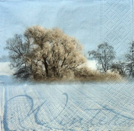 

Салфетка для декупажа НГГ-37 (33х33см)