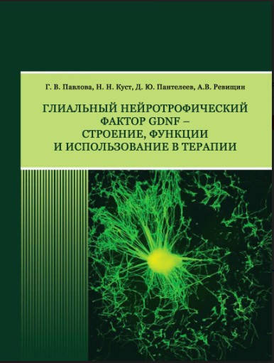 

Глиальный нейротрофический фактор GDNF – строение, функции и использование в терапии