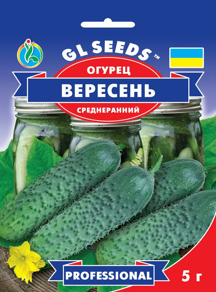 

Семена Огурца Вересень 5г. GL Seeds.