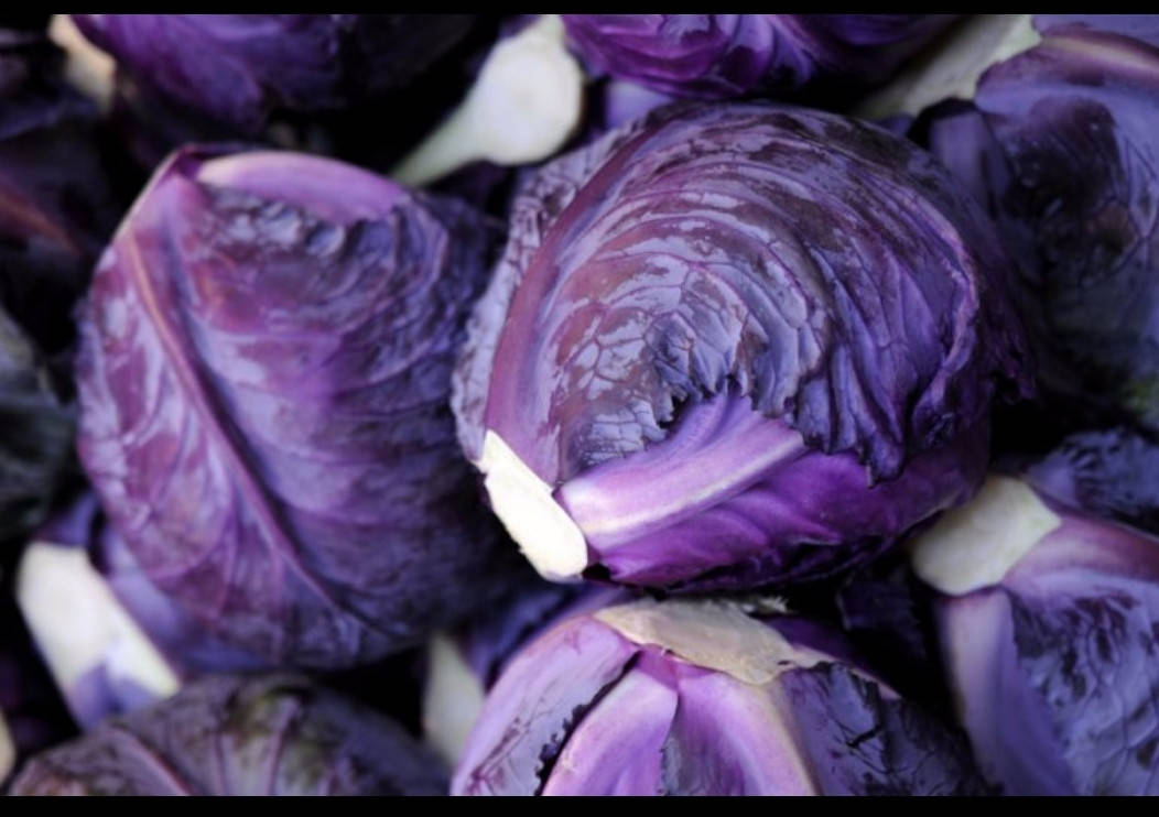 

Рассада капусты краснокачанной