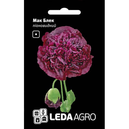 

Мак пионовидный Блэк