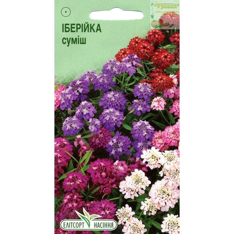 

Семена цветы Иберийка зонтичная смесь, 0,3 г