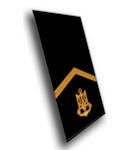 

Погоны-муфта парадные старшего матроса, Синий
