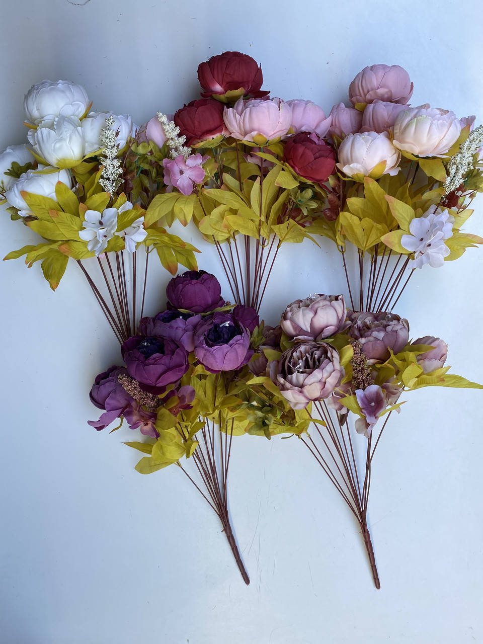 

Пион “Прованс” не пресс.