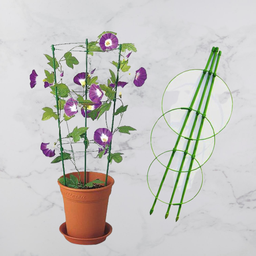 

Кольцевая опора для растений. 75*35см Кладовка