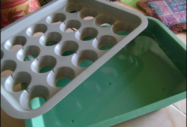 

Контейнер для выращивания зеленого лука