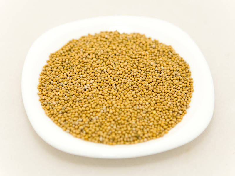 

Горчица зерно 1кг