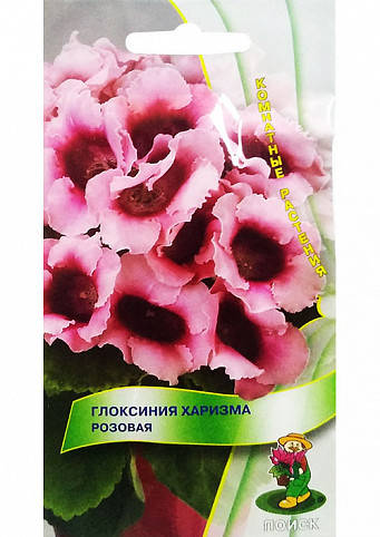 

Глоксиния Харизма розовая 5 шт Поиск, Розовый