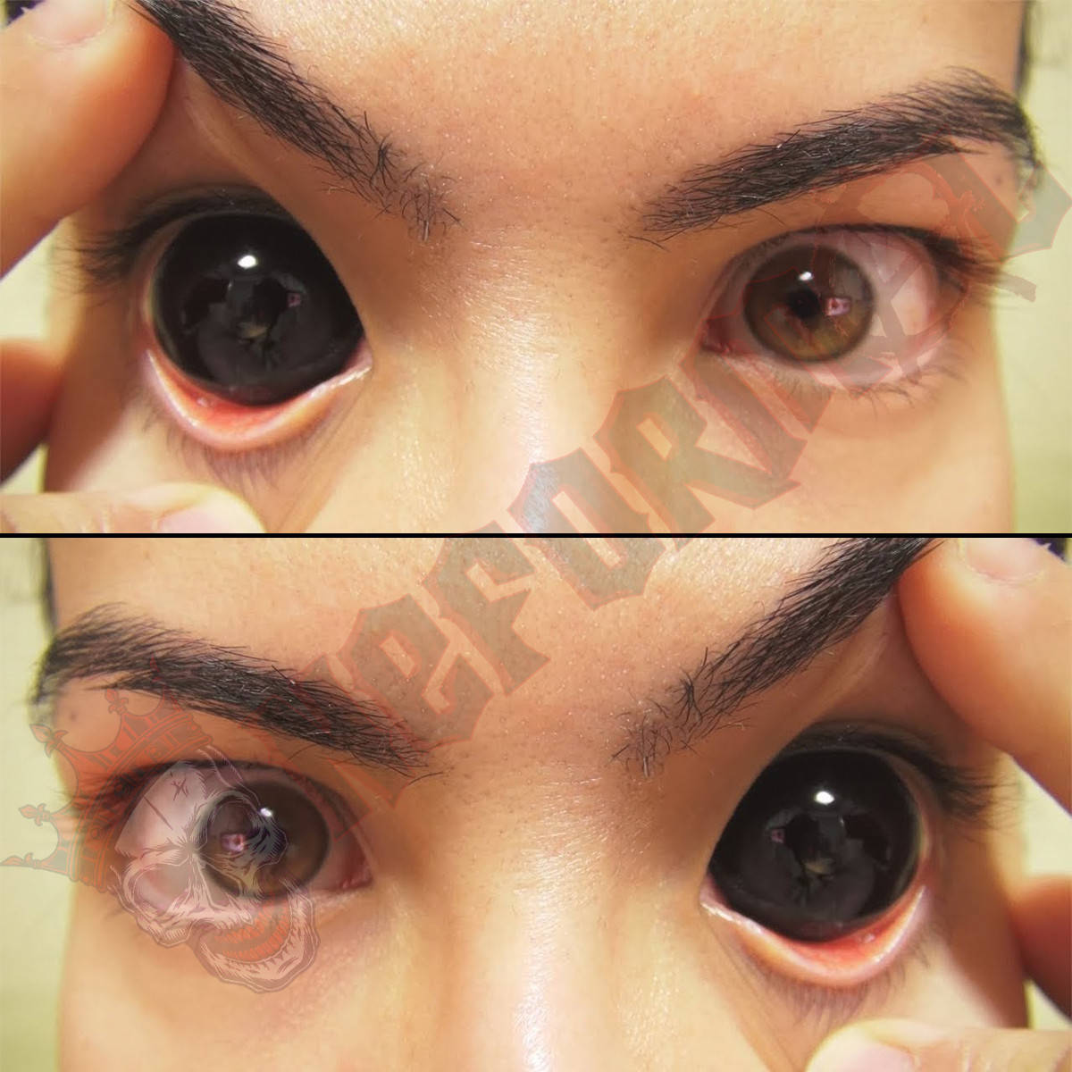 

Черные склеральные линзы ELITE Lens «Black XL» 22 мм. (N0052)