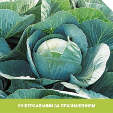 

Лексикон F1 10 шт семена капусты Syngenta Голландия