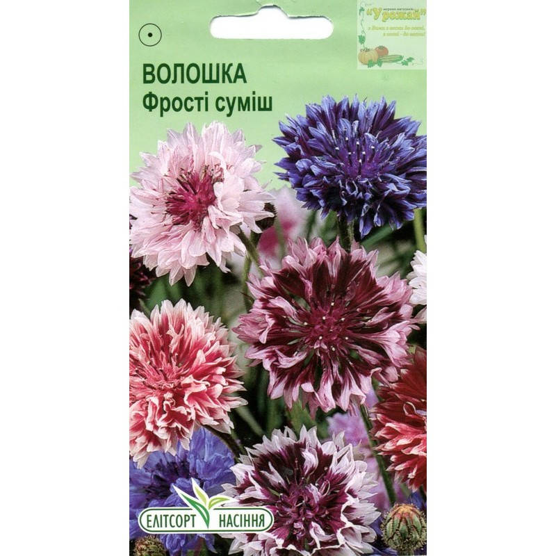 

Семена цветы Василек Фрости смесь, 0,5 г, Белый