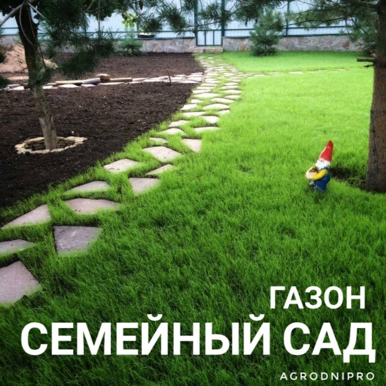 

Газон " Семейный сад" , семена газонной травы