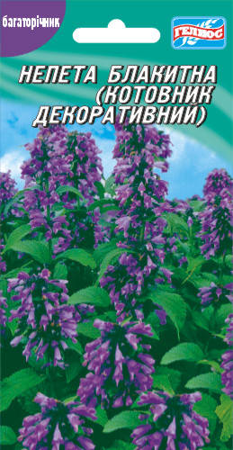 

Котовник декоративный (Непета голубая) 0,1 г