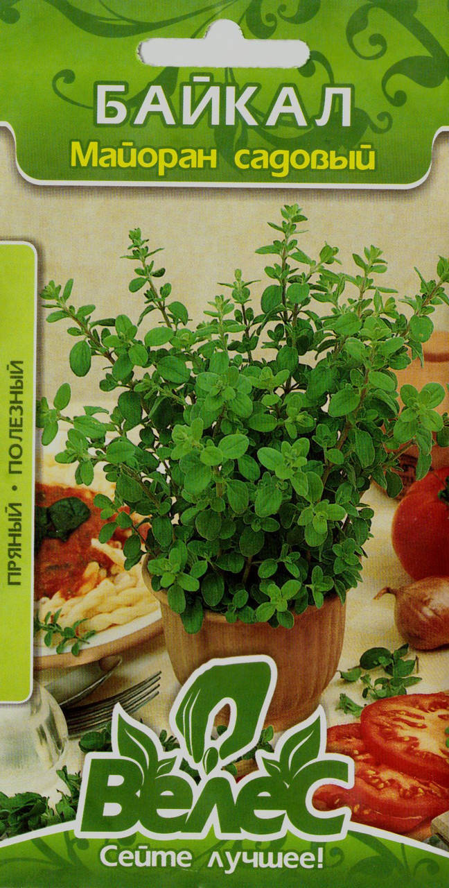 

Семена майорана садового Байкал 0,3г ТМ ВЕЛЕС