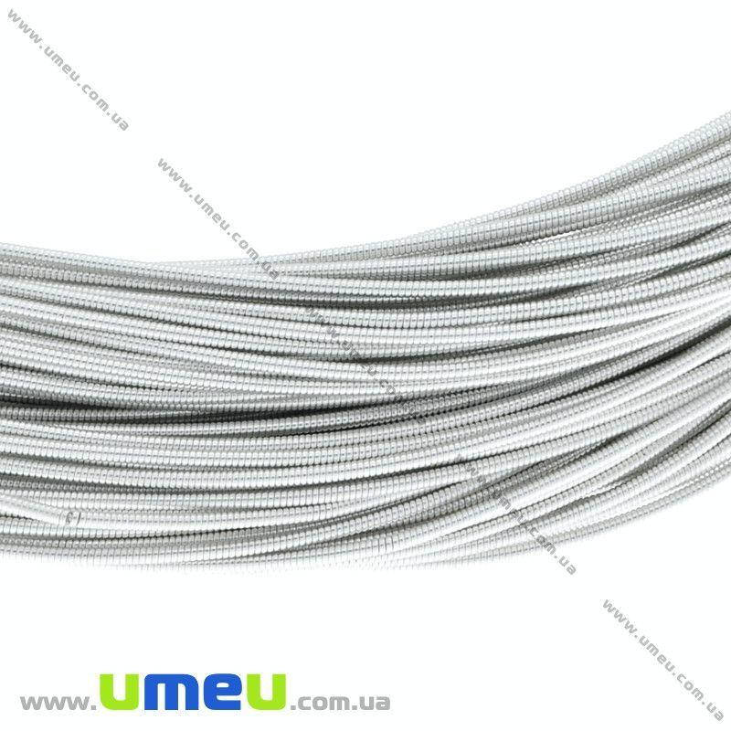 

Канитель жесткая 1 мм, Серебристая, 1 уп (1 м) (KNT-028032)