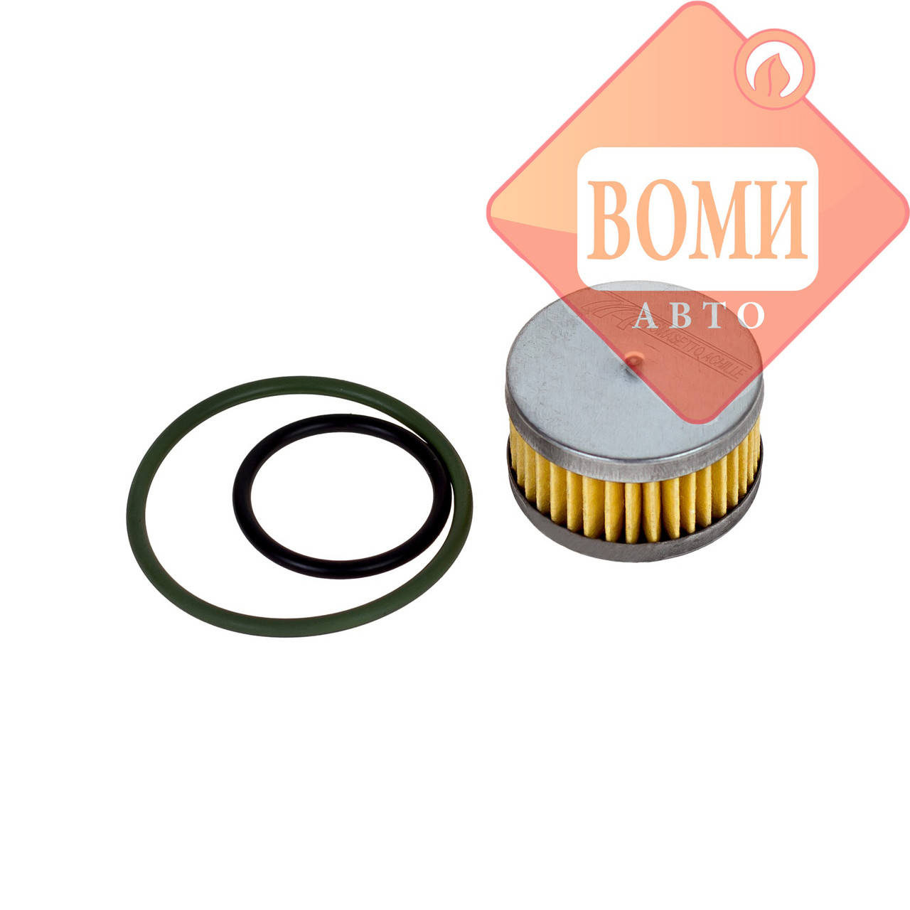

Фильтр для редуктора Tomasetto с уплотнительными резинками (RGAT2070)