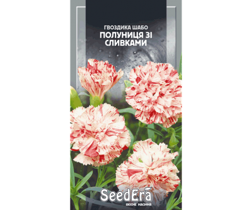 

Семена Гвоздика Шабо махровая Клубника со сливками 0,2 грамма SeedEra