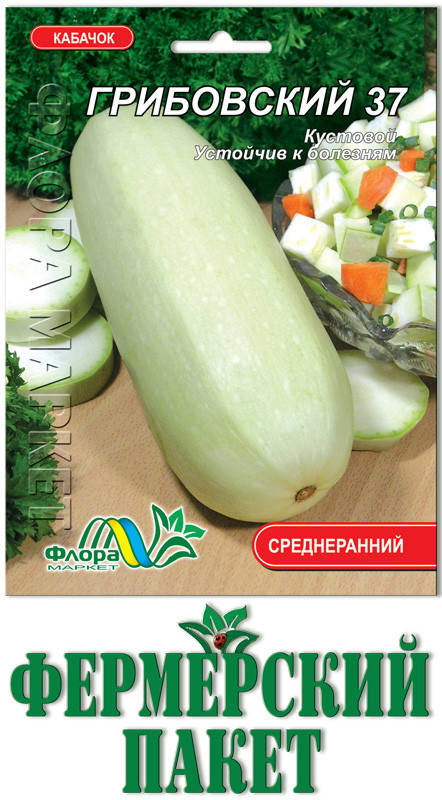 

Кабачок Грибовский 37 (большой пакет)