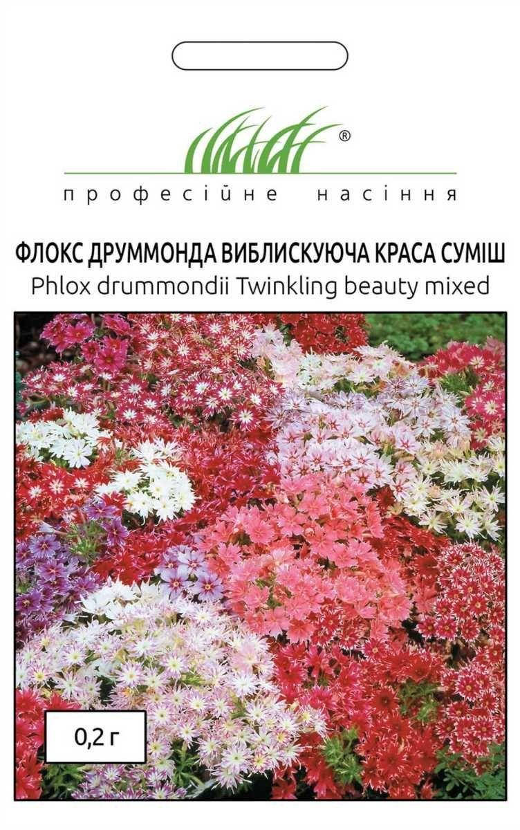 

Флокс Друммонда Сверкающая Красота 0.2 г Hem Zaden, Фиолетовый