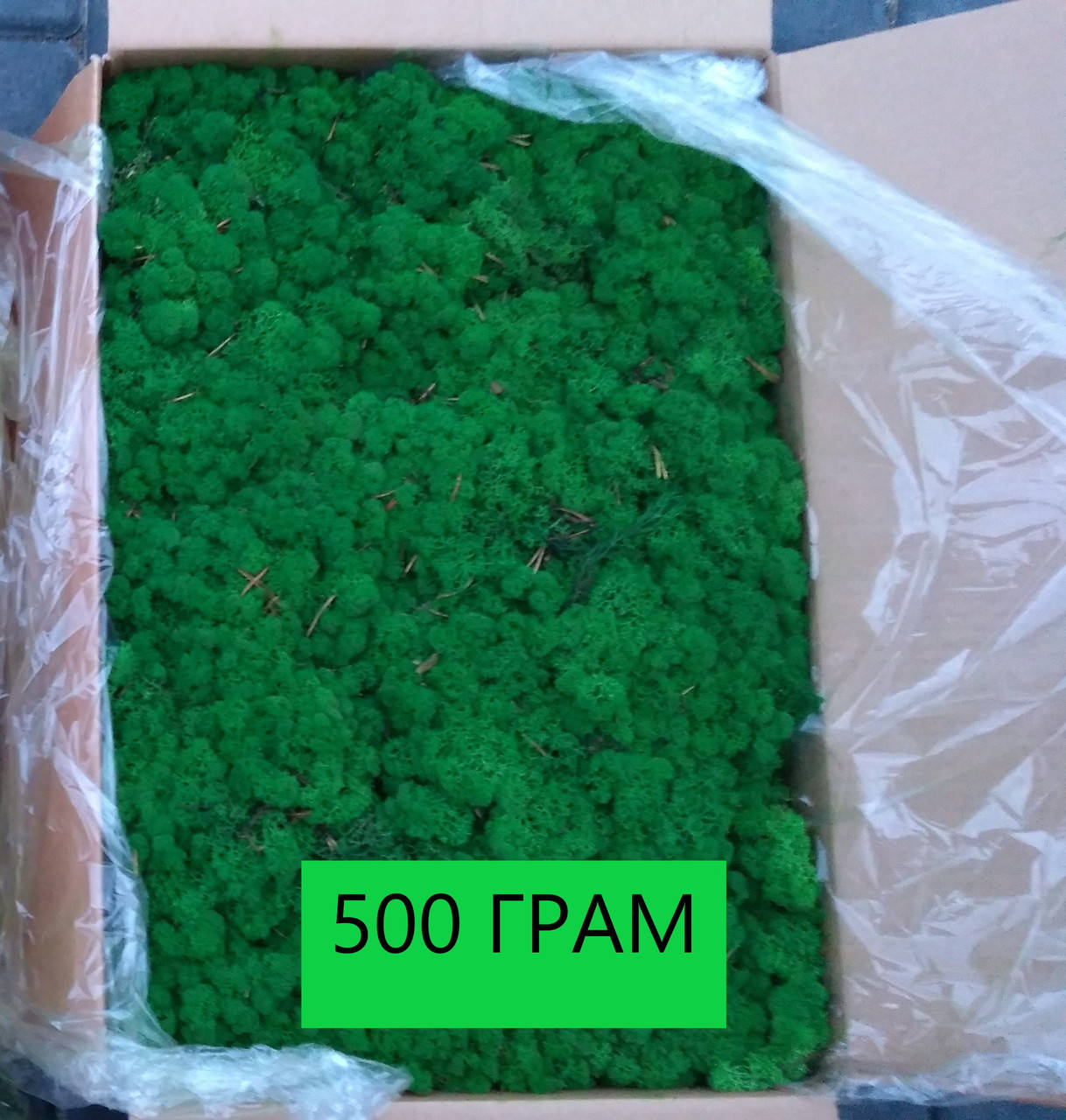 

Мох стабилизированный 78 grass green. УПАКОВКА 100 ГРАМ, Белый