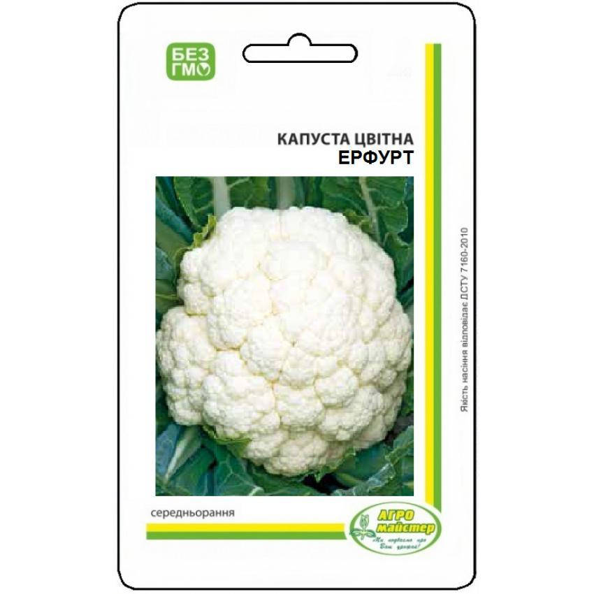 

Семена Капусты цветной Эрфурт 0,5 г Агро Майстер (000159)