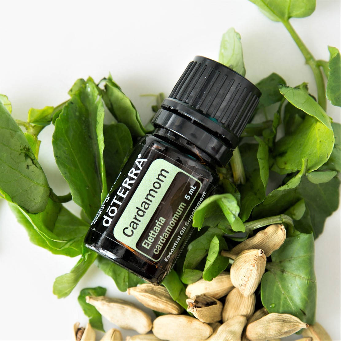 

Кардамон Эфирное масло doTERRA, 5 мл
