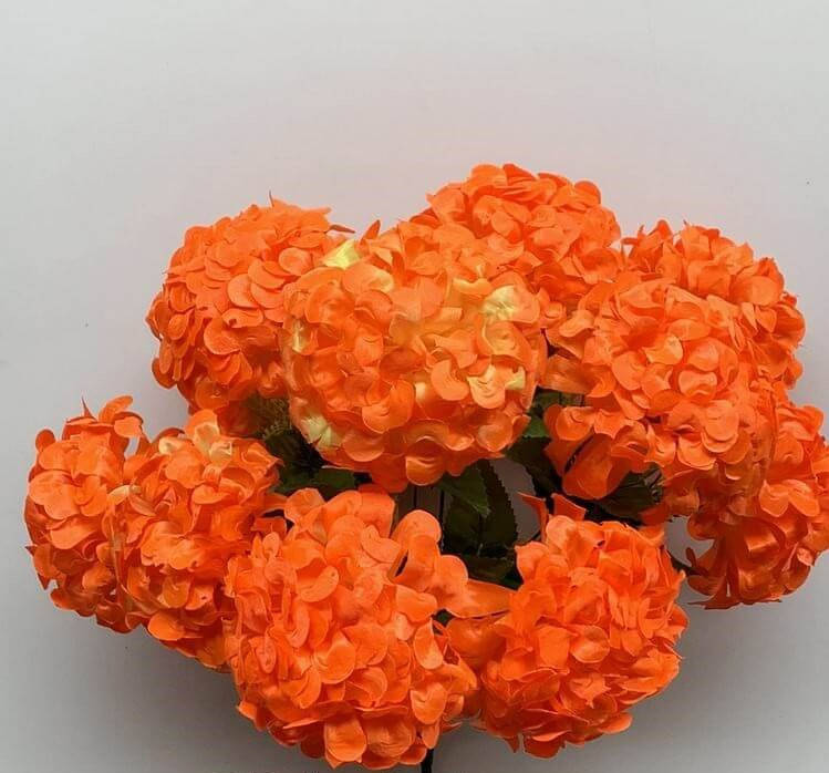 

Гортензия атлас не пресс.